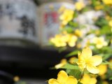 秋にはお寺に日本酒が奉納されます