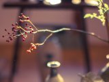 季節とともに楽しむお酒です
